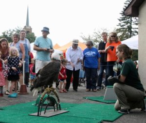 Crowds at Nokomis Farmers Market get a visit from big birds