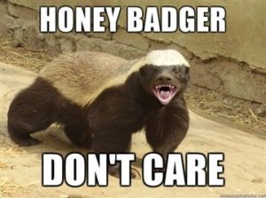 HONEY BADGER